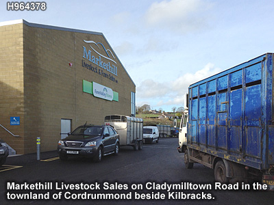The livestock mart in Markethill.