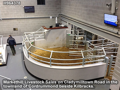 The livestock mart in Markethill.