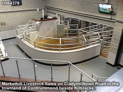 The livestock mart in Markethill.