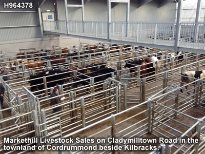 The livestock mart in Markethill.