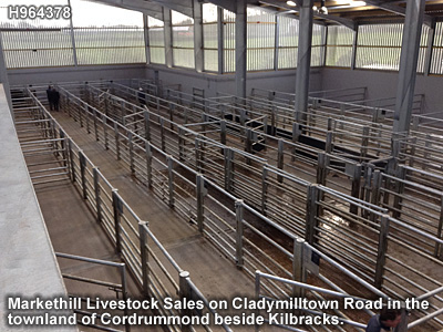 The livestock mart in Markethill.