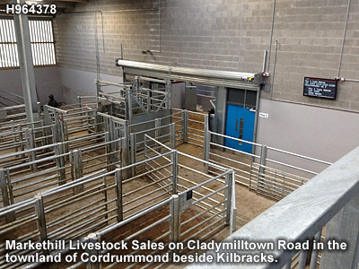 The livestock mart in Markethill.