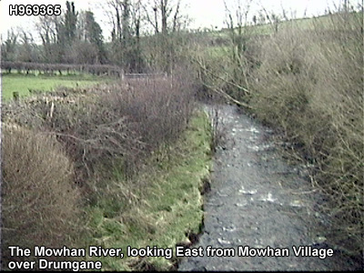 Mowhan.