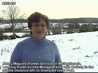 Townland of Mullurg.