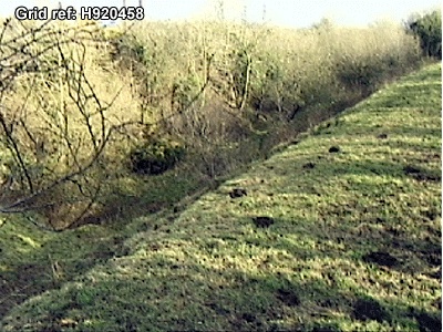 The townland of xxxx.